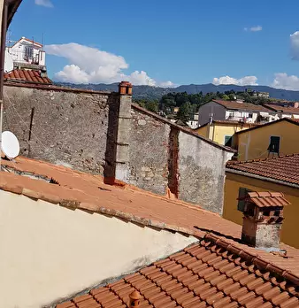 Foto annuncio 13