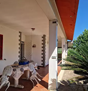 Foto annuncio 11
