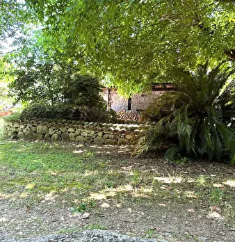 Foto annuncio 39