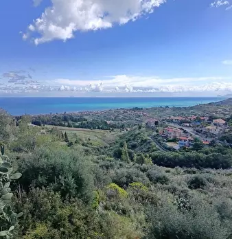 Foto annuncio 2
