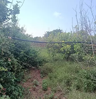 Foto annuncio 8