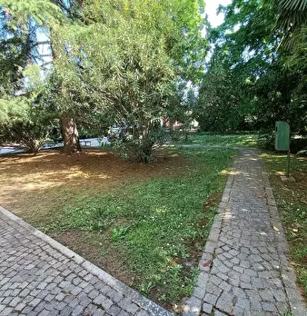 Foto annuncio 7