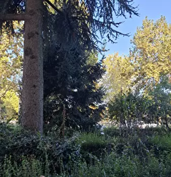 Foto annuncio 26
