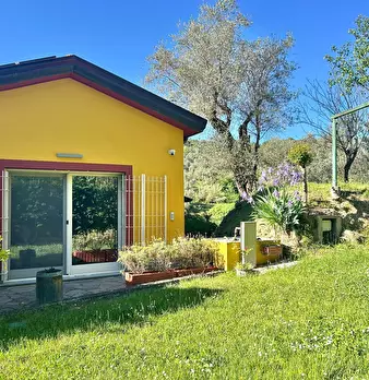 Foto annuncio 2
