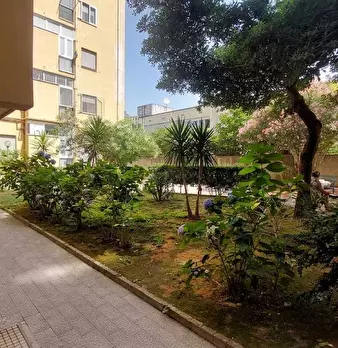 Foto annuncio 17