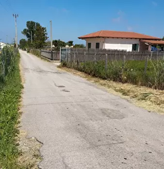 Foto annuncio 10