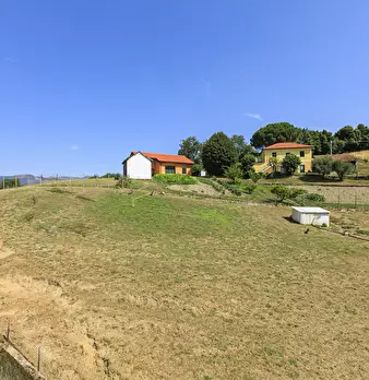 Foto annuncio 8
