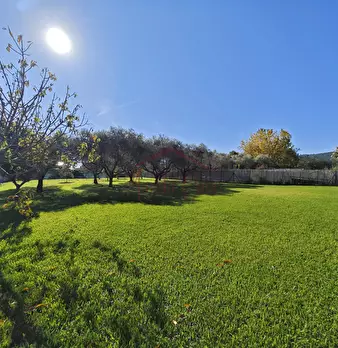 Foto annuncio 15