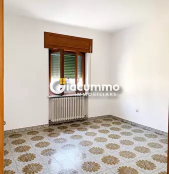 Foto annuncio 20