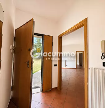Foto annuncio 19