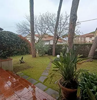 Foto annuncio 17