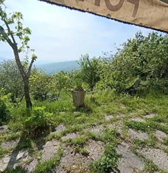 Foto annuncio 12