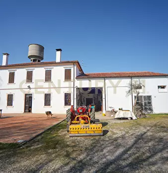 Foto annuncio 13