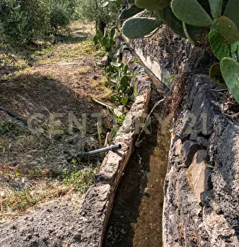 Foto annuncio 50