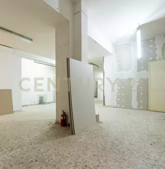 Foto annuncio 11