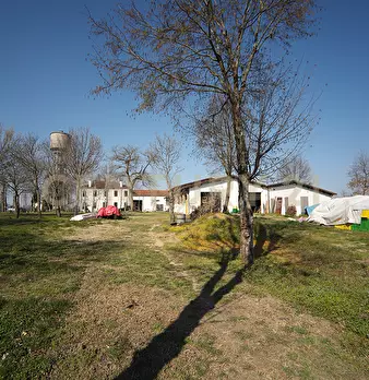 Foto annuncio 36