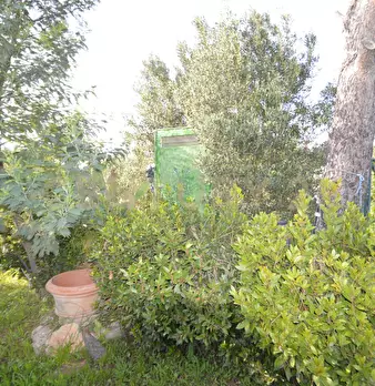 Foto annuncio 24