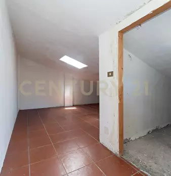 Foto annuncio 30