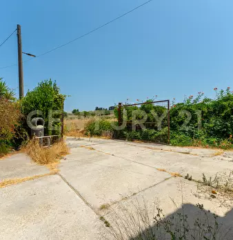 Foto annuncio 2