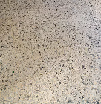 Foto annuncio 19