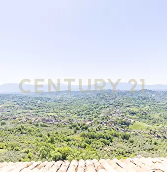 Foto annuncio 88