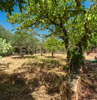 Foto annuncio 12