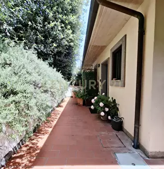 Foto annuncio 25