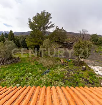 Foto annuncio 50