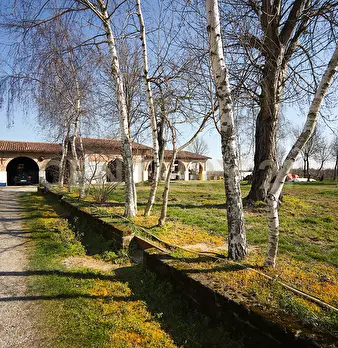Foto annuncio 18