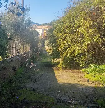 Foto annuncio 8