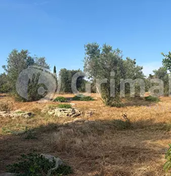 Foto annuncio 29