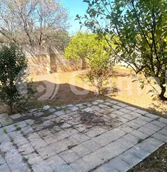Foto annuncio 6