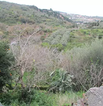 Foto annuncio 32