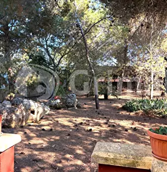 Foto annuncio 12