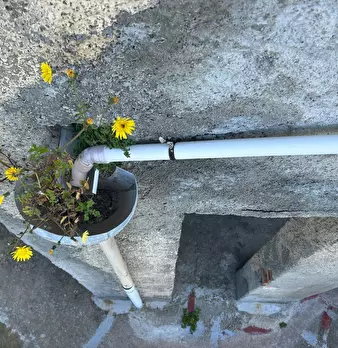 Foto annuncio 36
