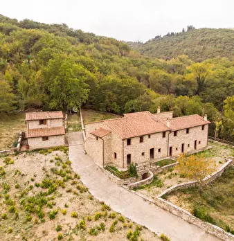 Foto annuncio 11