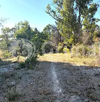 Foto annuncio 27
