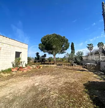 Foto annuncio 23