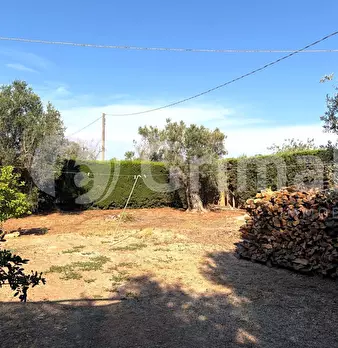 Foto annuncio 18