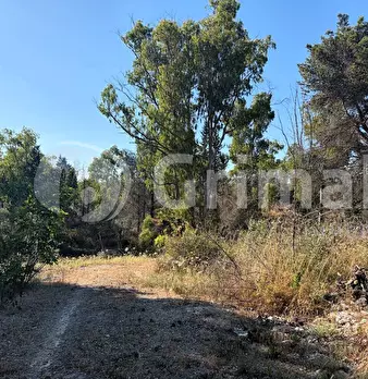 Foto annuncio 26
