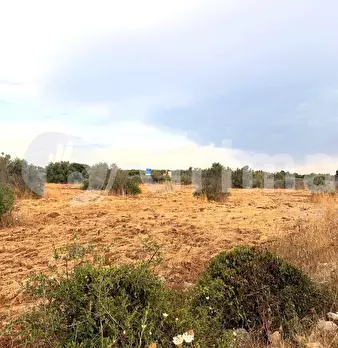 Foto annuncio 14