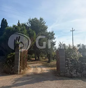 Foto annuncio 13