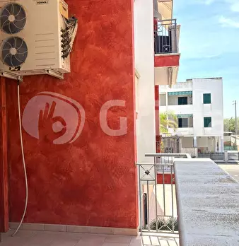 Foto annuncio 6