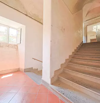 Foto annuncio 28