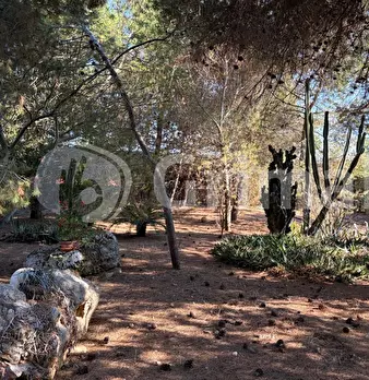Foto annuncio 13