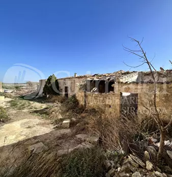 Foto annuncio 4