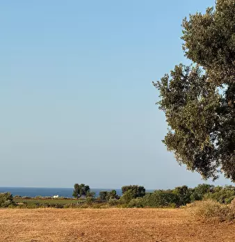 Foto annuncio 13