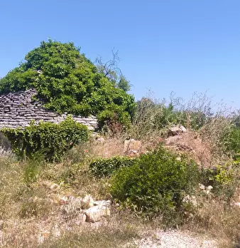 Foto annuncio 2