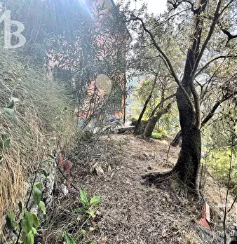 Foto annuncio 36