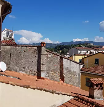 Foto annuncio 12